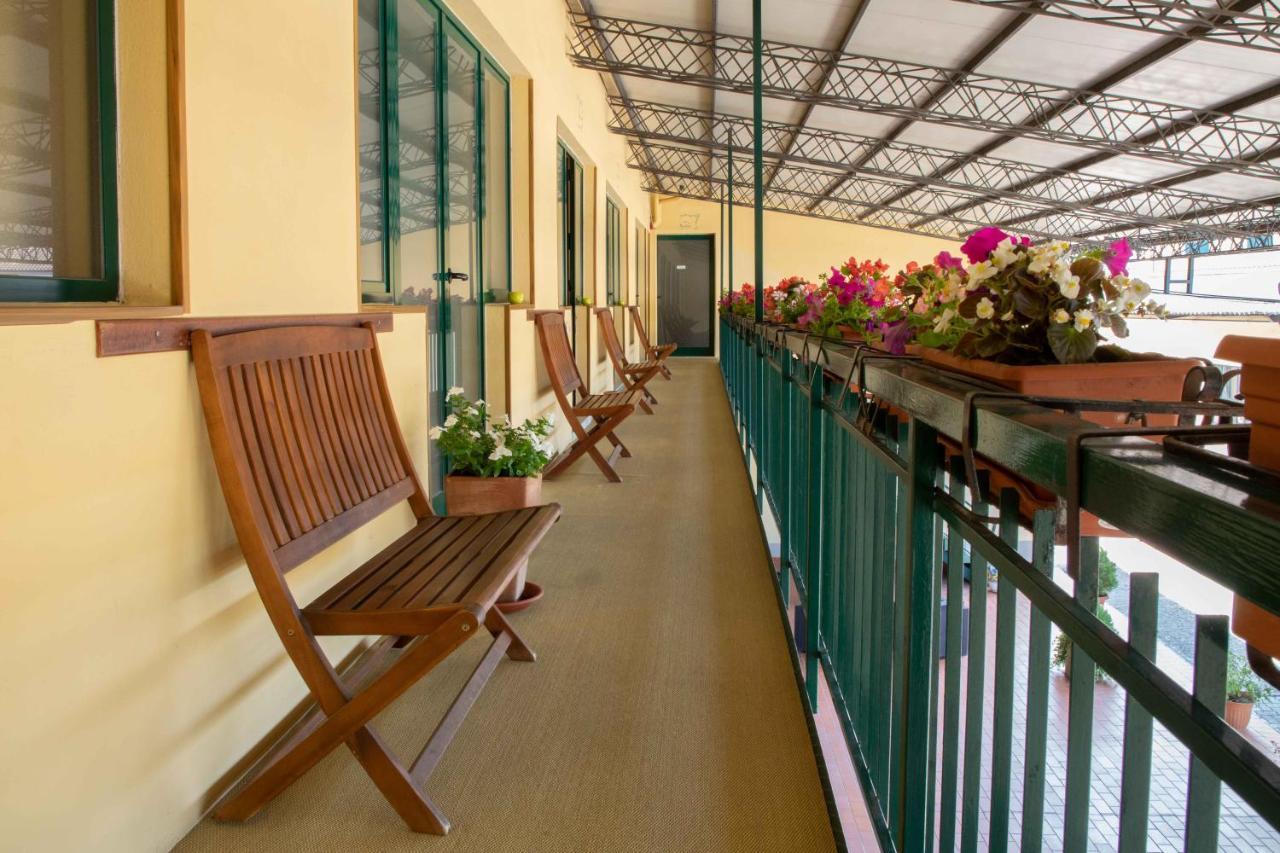 Al Frantoio Maddii Levane Bed And Breakfast Exterior foto